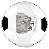 Beste vrienden Keizerspinguïns Voetbal (Gedraaid)