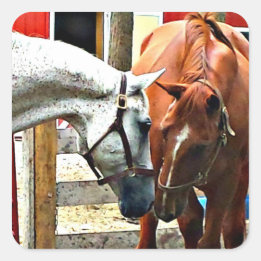 Beste vrienden Paard Sticker