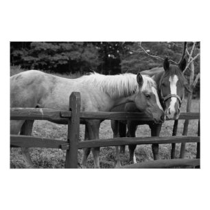 Beste vrienden perfect poster