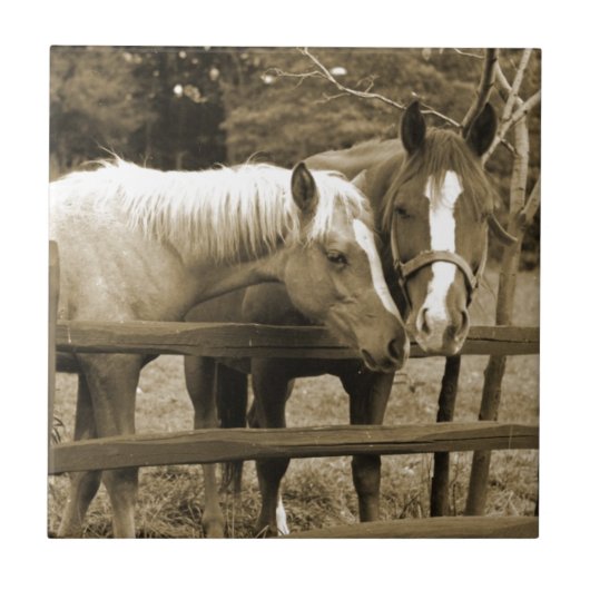 Beste vrienden tegeltje (Voorkant)