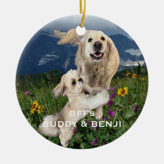 Beste Vrienden Twee Honden op het gebied van bloem Keramisch Ornament (Voorkant)