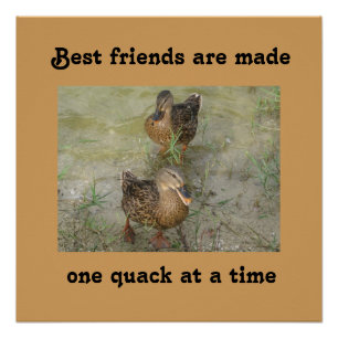 Beste vrienden worden gemaakt - 20 x 20 Poster Perfect Poster