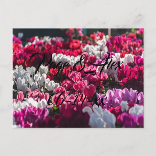 Beste wensen nieuw weddenschap over de bestemming  briefkaart (Voorkant)