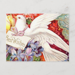 Beste wensen Victoriaans Dove Wedding Birthday Briefkaart
