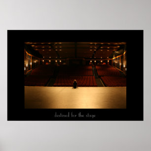...bestemd voor het stadium poster