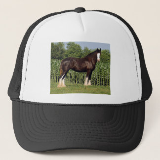 bestemming trucker pet