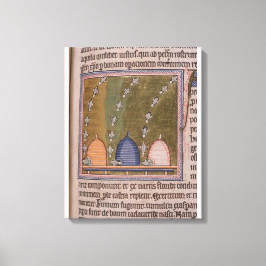 Bestiary Drie gebogen lijnen Canvas Afdruk (Voorkant)