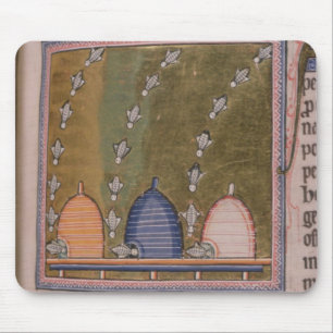 Bestiary Drie gebogen lijnen Muismat