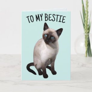 BESTIE AMIE SIAMESE CAT Carte de voeux Anniversair