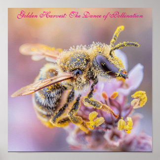 Bestoven Perfectie: Bee Macro Fotografie Poster