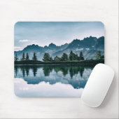 Bestraling van het gebergte muismat (Met muis)