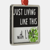 Bestrijding van LYME-ziekte Metalen Ornament (Rechts)