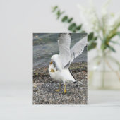 Bestrijding van zeegarenden briefkaart (Staand voorkant)