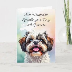 Bestrooi je dag met schattigheid Shih Tzu Kaart