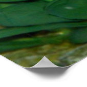 Bêta bleu poisson Imprimer ou poster (Coin)