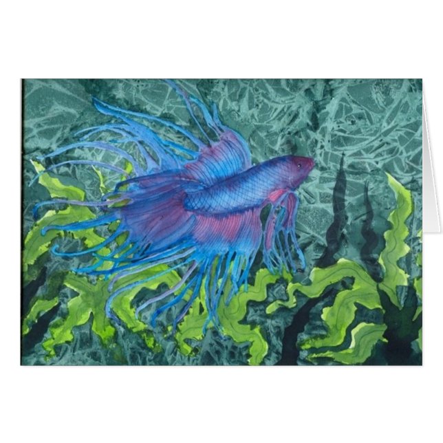 Beta Blue (Voorkant Horizontaal)