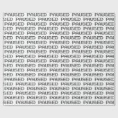 BETAALD CADEAUPAPIER (Vlak)