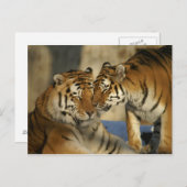 Betaalde trekkers briefkaart (Voorkant / Achterkant)