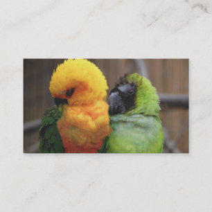Betaalde vogels visitekaartje