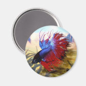 Bètavis Magneet (Voorkant / Achterkant)