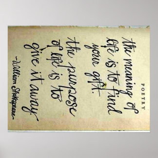 Betekenis versus doel van het leven poster