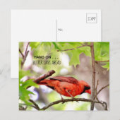 Beter Dagen Komen Ansichtkaart Briefkaart (Voorkant / Achterkant)