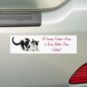 Beter dan de Bumpersticker van de Vangst (Op auto)