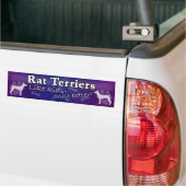 Beter dan Kinder Rat Terrier Bumpersticker (Op Truck)