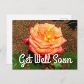 Beterschap Droom Die Uitkomt Roos #3 Ansichtkaart Briefkaart (Voorkant / Achterkant)