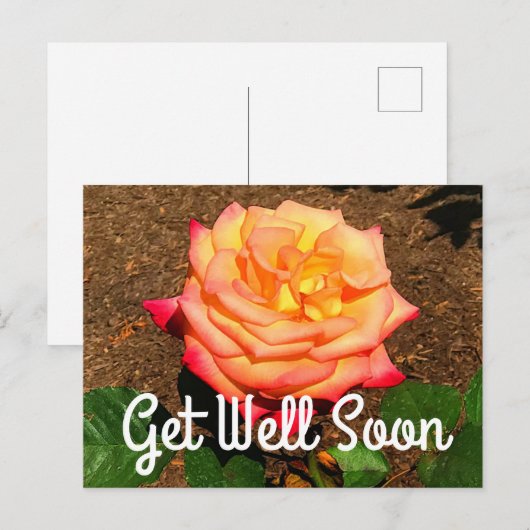 Beterschap Droom Die Uitkomt Roos #3 Ansichtkaart Briefkaart (Voorkant / Achterkant)