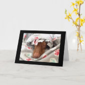 Beterschap Kaart (Gele Bloem)