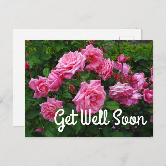 Beterschap Soon Gene Boerner Roos #2 Briefkaart (Voorkant / Achterkant)