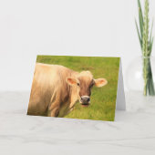 Beterschap voor de lieve en zorgzame koe kaart (Voorkant)