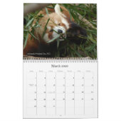 Bêtes dans une ville populeuse - calendrier (Mar 2026)