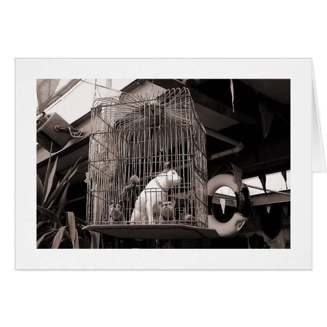 Bêtes en cage (Devant horizontal)