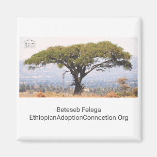 Beteseb Felega Kitchen Magnet Magneet