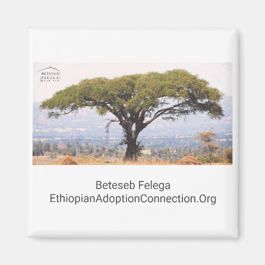 Beteseb Felega Kitchen Magnet Magneet (Voorkant)