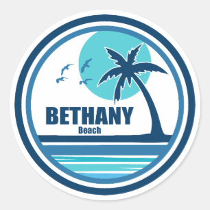 Bethany Beach Delaware Palm Tree Vogels Ronde Sticker