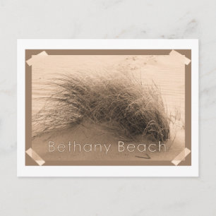 Bethany Grass Briefkaart