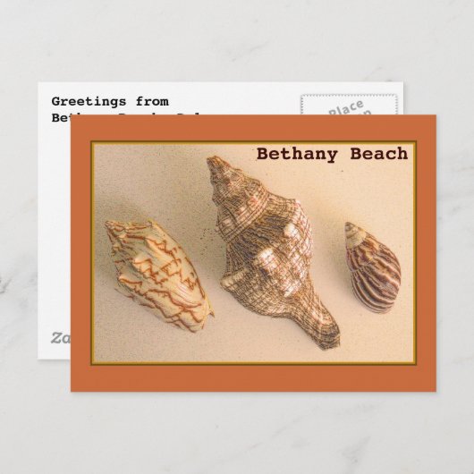 Bethany Shells Briefkaart (Voorkant / Achterkant)