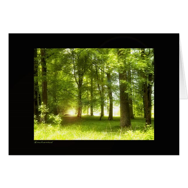 betoverd (Voorkant Horizontaal)