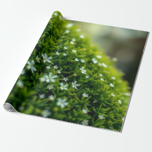 Betoverd Bos Mos Lente Cadeaupapier