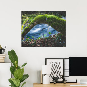 Betoverd magisch bos poster