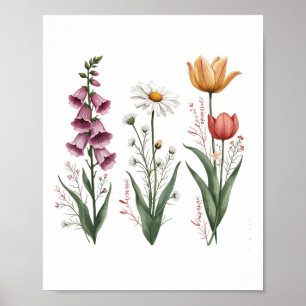 Betoverde Bloemen Plant Foxglove Daisy Tuli Poster