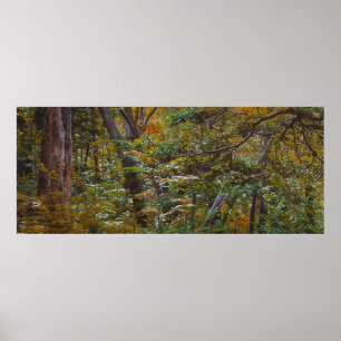 Betoverde Bos Trail Poster