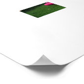 Betoverde buitenbibliotheek poster (Hoek)