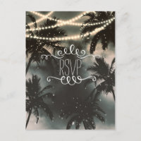 Betoverde Nachtelijke Hemel Palmboom & Kerstverlic