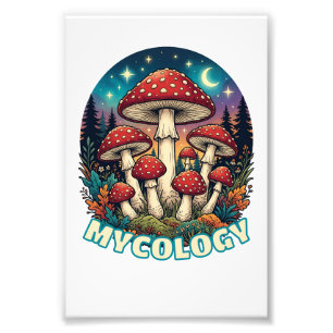 Betoverde Paddenstoelen Kunst van het Woud Foto Afdruk
