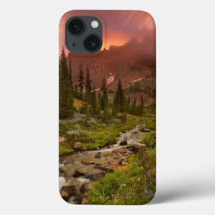 Betoverde weiden iPhone 13 hoesje