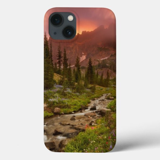 Betoverde weiden Case-Mate iPhone case (Achterkant)